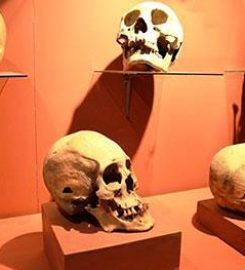 MUSEO NACIONAL ANTROPOLÓGICO “EDUARDO LÓPEZ RIVAS”