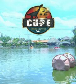 Cupe Mundo Acuático