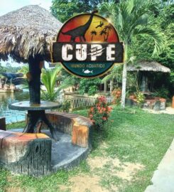 Cupe Mundo Acuático